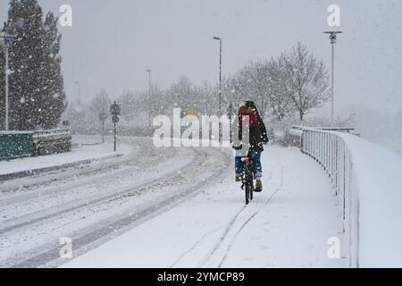 Leer, Germany. 21st Nov, 2024. A cyclist rides over the Jann-Berghaus bridge. Credit: Lars Penning/dpa/Alamy Live News Stock Photo