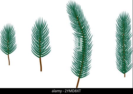 fir tree branch set vector illustration isolated on white background. Stock Vector