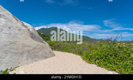 A soft sandy trail winding through the lush tropical vegetation of Tayrona National Natural Park. Stock Photo