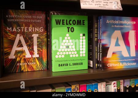 Various books about AI including MASTERING AI: A SURVIVAL GUIDE TO OUR SUPERPOWERED FUTURE, WELCOME TO AI, and AI: AN ILLUSTRATED HISTORY are seen on... Stock Photo