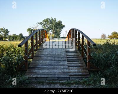 A wooden, Japanese-style arch bridge in a park with autumn foliage in the background. High quality photo Stock Photo