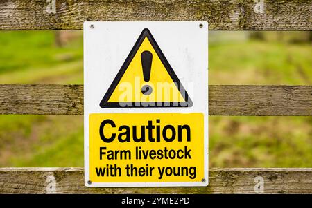 Yellow and black warning sign attached to tree about Forest Operations ...