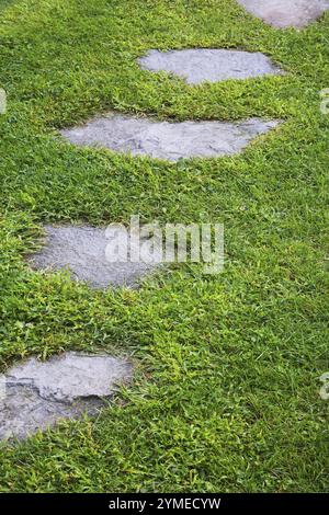 Turfstone Footpath High angle view of lawn with stepping stones laid across the turf Stock ...