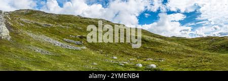 Landscapes of Sognefjord by boat tour and from Mt. Prest view point, Norway. Stock Photo