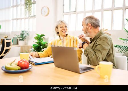 Senior couple using laptop and discussing finances at home Stock Photo