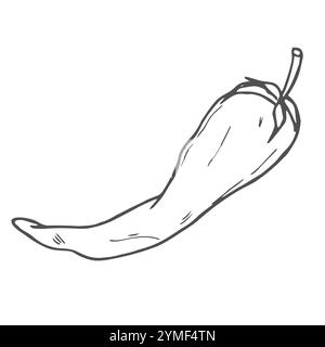 Vector Set of Sketch Chilli, Jalapeno and Paprika Peppers Stock Vector