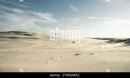 A vast desert landscape showcasing a brilliant blue sky adorned with fluffy white clouds drifting lazily overhead in the warm sunlight Stock Photo