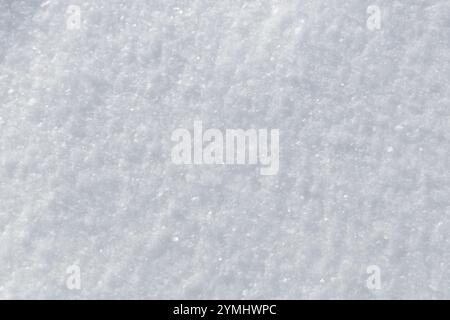 Fine grainy flat fresh white powder snow surface textured background Stock Photo