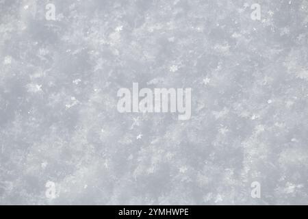 Close up of coarse grainy fresh white snow flake crystals surface in winter Stock Photo