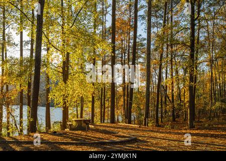Autumn sunset on Stone Mountain Lake at Stone Mountain Park in Atlanta, Georgia. (USA) Stock Photo