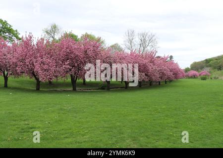 New Jersey New York Barns Bulidings art food planes Stock Photo