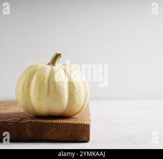Elegant white Pumpkin wooden board on light background and copyspace - halloween Stock Photo