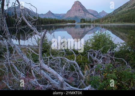 USA,Montana,Waterton-Glacier International Peace Park, Glacier National park, UNESCO World heritage,  Two Medicine Stock Photo