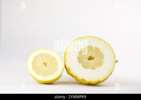 two half of different lemons, isolated on white Stock Photo