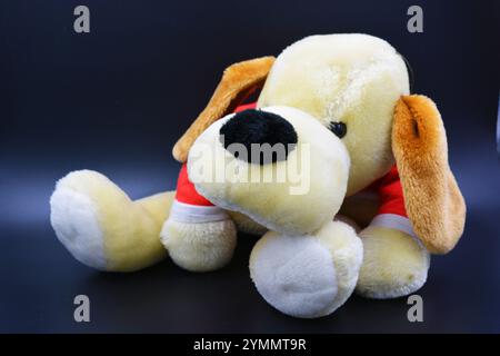 Beautiful and bright things, children's soft toys. A large beige soft dog with big ears and a red jacket is located on a black plastic background. Stock Photo