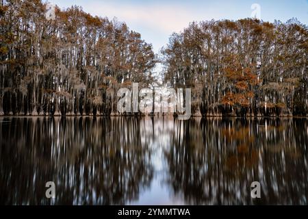 Cypress tree reflection on calm waters Stock Photo