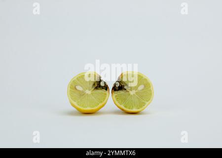 close up of moldy lemon cut in half on white  background, copy space Stock Photo