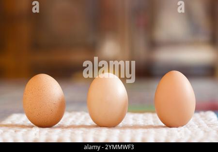 close up of three chichen eggs stending on the table, defocused background Stock Photo