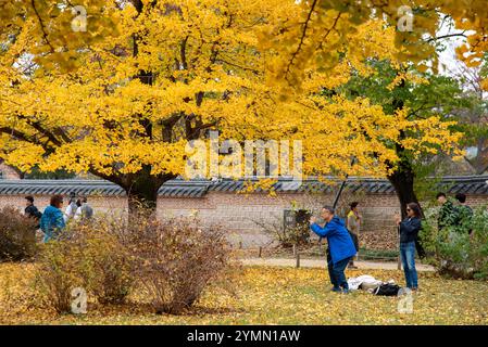 Tourists visiting Gyeongbokgung royal palace of the Joseon dynasty in Seoul South Korea in Autumn on 4 November 2023 Stock Photo