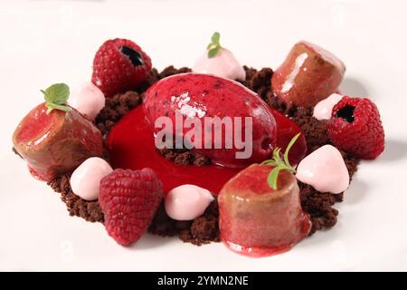 delicious dessert composition with  chocolate mousse, crumble and berries  ice cream  and fruits on white background Stock Photo
