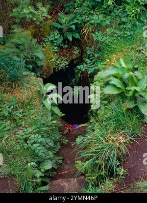 View SW down the steps of St Euny Holy Well, Chapel Euny, Sancreed, Cornwall, England, UK, once the baptistry for the destroyed Medieval chapel. Stock Photo