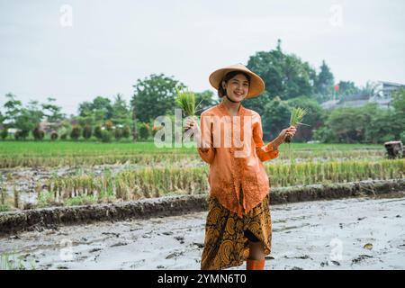 A Joyful Farmer in a Lush Rice Field Holding Freshly Harvesting Tools Today Stock Photo