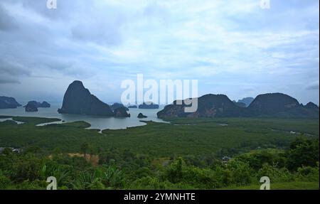 Phang Nga. 21st Nov, 2024. This photo taken on Nov. 21, 2024 shows a mangrove forest in Phang Nga province, Thailand. Credit: Sun Weitong/Xinhua/Alamy Live News Stock Photo