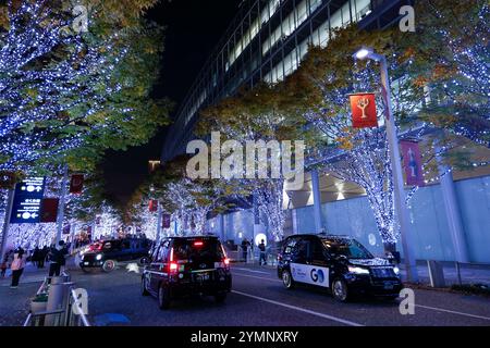 Tokyo, Japan. 22nd Nov, 2024. Winter decorations are on display in Tokyo's famous Keyakizaka Street. Around 8 million LED lights on the trees illuminate 400m of Keyakizaka Street until December 25th. Roppongi Hills is one of Tokyo's most popular illumination spots for the Christmas season. (Credit Image: © Rodrigo Reyes Marin/ZUMA Press Wire) EDITORIAL USAGE ONLY! Not for Commercial USAGE! Stock Photo