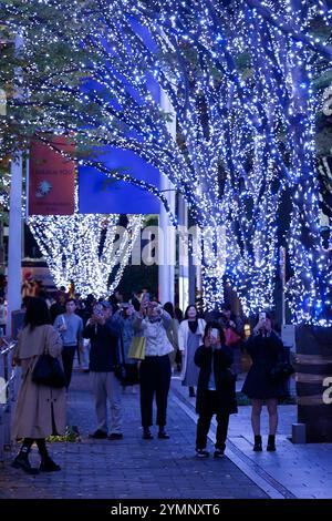 Tokyo, Japan. 22nd Nov, 2024. Winter decorations are on display in Tokyo's famous Keyakizaka Street. Around 8 million LED lights on the trees illuminate 400m of Keyakizaka Street until December 25th. Roppongi Hills is one of Tokyo's most popular illumination spots for the Christmas season. (Credit Image: © Rodrigo Reyes Marin/ZUMA Press Wire) EDITORIAL USAGE ONLY! Not for Commercial USAGE! Stock Photo