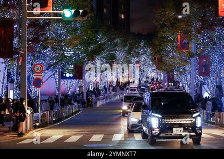 Tokyo, Japan. 22nd Nov, 2024. Winter decorations are on display in Tokyo's famous Keyakizaka Street. Around 8 million LED lights on the trees illuminate 400m of Keyakizaka Street until December 25th. Roppongi Hills is one of Tokyo's most popular illumination spots for the Christmas season. (Credit Image: © Rodrigo Reyes Marin/ZUMA Press Wire) EDITORIAL USAGE ONLY! Not for Commercial USAGE! Stock Photo