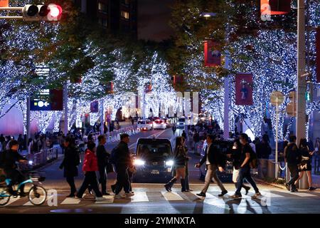 Tokyo, Japan. 22nd Nov, 2024. Winter decorations are on display in Tokyo's famous Keyakizaka Street. Around 8 million LED lights on the trees illuminate 400m of Keyakizaka Street until December 25th. Roppongi Hills is one of Tokyo's most popular illumination spots for the Christmas season. (Credit Image: © Rodrigo Reyes Marin/ZUMA Press Wire) EDITORIAL USAGE ONLY! Not for Commercial USAGE! Stock Photo