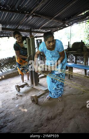 Sri Lankan woman weave coconut fibres into a rope, Matale, Central Province, Sri Lanka, Asia Stock Photo