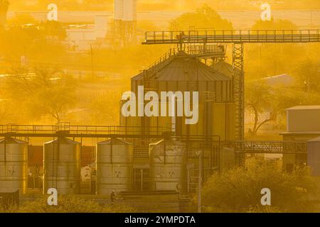 Selecta Containers containers at sunset from the Selecta Group for food production ...