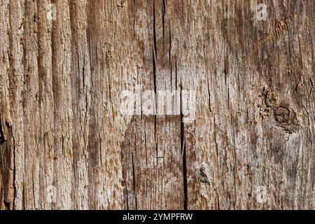 Wood abstract texture. Surface grunge backdrop. Dirty wooden effect pattern. Material background. Graphic resource. Stock Photo