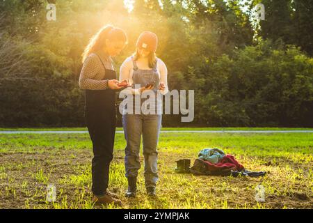 Two young women farmers are using a mobile phone and tablet in a field at sunset, taking a break from their work Stock Photo