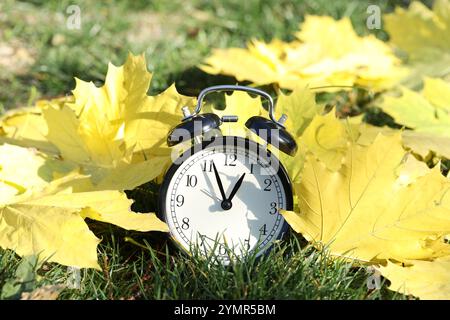 Autumn time. Alarm clock among fallen leaves on green grass, closeup Stock Photo