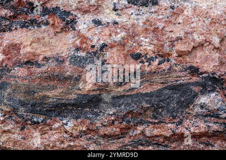 Pink Rock with Black Veins going through it Stock Photo