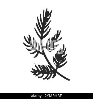 Coniferous tree branch vector icon. Hand-drawn illustration isolated on white backdrop. Evergreen sprig of pine, fir, spruce. Botanical clipart for de Stock Vector