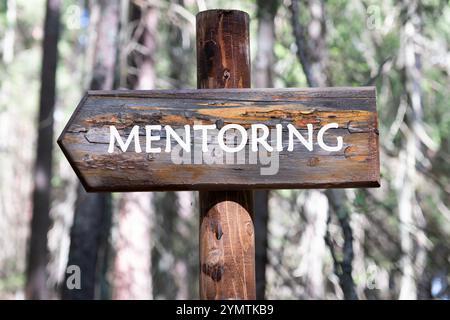 Business concept. The MENTORING concept phrase is written on the signs in the forest against the background of trees. Stock Photo
