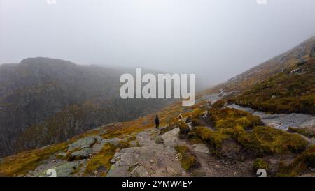 A foggy mountain landscape with rocky terrain and sparse vegetation, overlooking a hidden valley below. A lone hiker stands on the edge, adding a sens Stock Photo