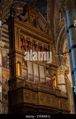 Interior of Duomo di Siena (Santa Maria Assunta), details of organ in the cathedral. Siena, Italy 07.01.2024 Stock Photo