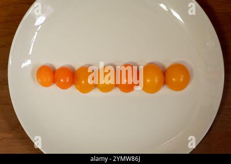 Unlaid chicken eggs on a white plate Stock Photo