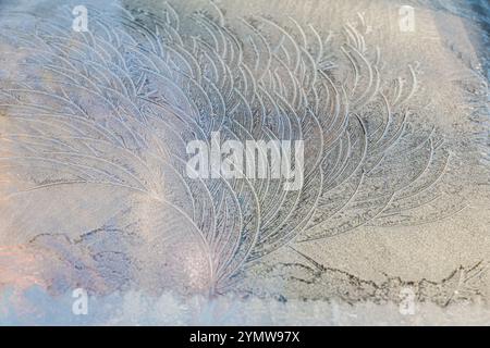 Frost patterns on glass Stock Photo