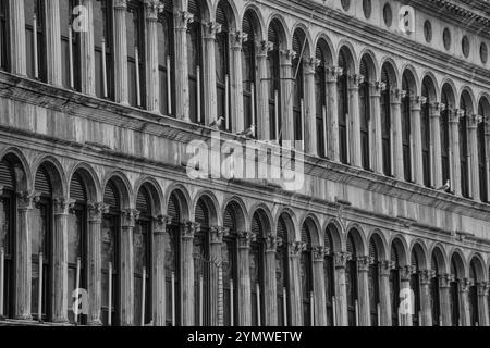 The long Arcade, known as the Procuratie Vecchie on the north side of St Mark's Square, piazzetta facade - Doges palace in Venice, Italy 04.01.2024 Stock Photo