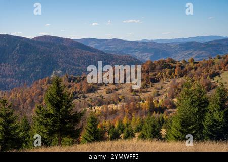 Tops of Golija mountain hills with gloomy and cloudy sky on the horizon Stock Photo