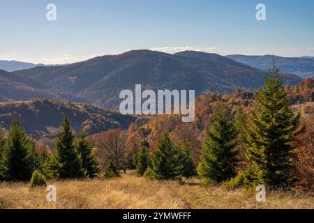 Tops of Golija mountain hills with gloomy and cloudy sky on the horizon Stock Photo