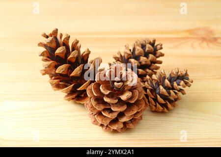 Group of natural dry pine cones isolated on the wooden background Stock Photo