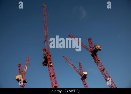 Berlin, Germany. 23rd Nov, 2024. Four red construction cranes stand on a building site at Alexanderplatz, towering into the blue sky. Credit: Hannes P. Albert/dpa/Alamy Live News Stock Photo