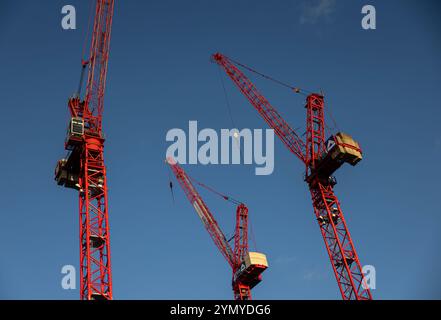 Berlin, Germany. 23rd Nov, 2024. Three red construction cranes stand on a building site at Alexanderplatz, towering into the blue sky. Credit: Hannes P. Albert/dpa/Alamy Live News Stock Photo