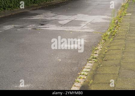 Patched asphalt road with mossy pavement Stock Photo